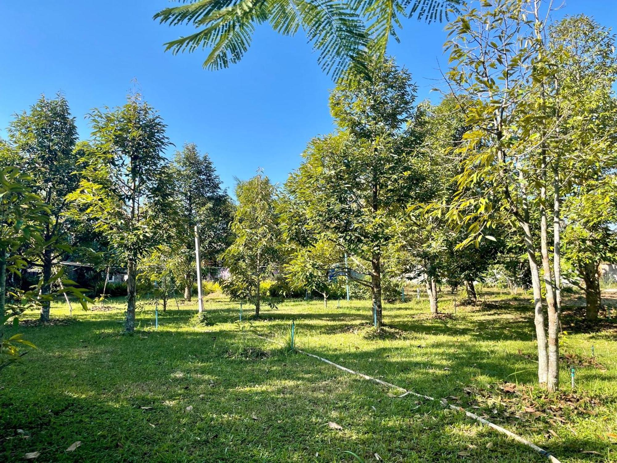 Panpim Resort Noen Hom Exteriér fotografie